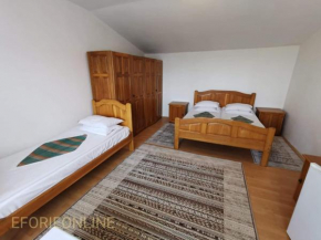 Vila CasaCarp